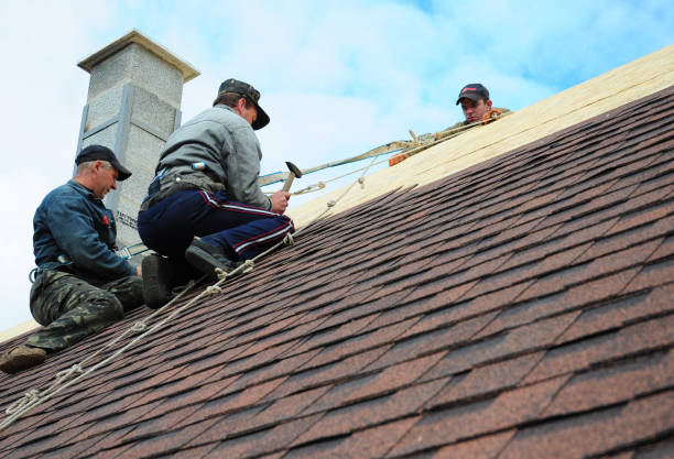 Roof Waterproofing Services in Hasley Canyon, CA